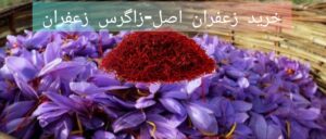 خرید زعفران اصل از زاگرس زعفران