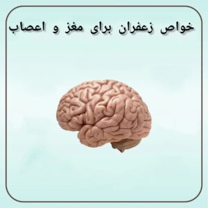 خواص زعفران برای مغز